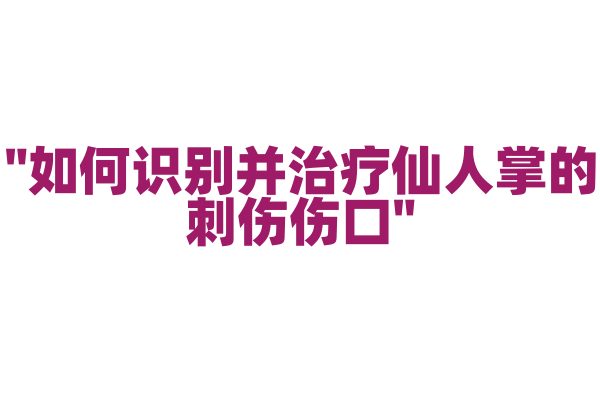 "如何识别并治疗仙人掌的刺伤伤口"